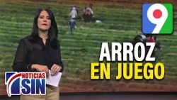Alicia Ortega presents “The future of Dominican rice at stake” on El Informe