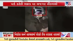 Junagadh: Giant Python Found Wrapped Around Parked Bike, Video Goes Viral | Gujarat | TV9Gujarati