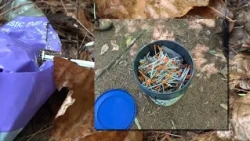 Sanford community calls on city to take action on littered needles