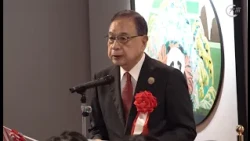 大富电视台报道：《漆彩和鸣——漆绘熊猫中日艺术交流展》在东京开幕