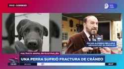 Municipal employee fired after being reported for animal abuse