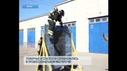 Firefighters and Rescuers Compete in Professional Skills
