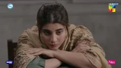 Tabish Naraz Beena Ko Mana Paiya Ga...! #aapkiizzat #urwahocane  #AhsanKhan - HUM TV