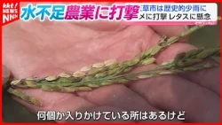 "Exceptionally Low Rainfall": Amakusa Region Faces Worsening Water Shortage as Dam Levels Drop, T...