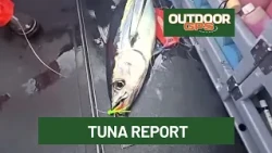 Outdoor GPS 8/30 Tuna Report with Tony Amato