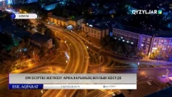 ІІМ есірткі жеткізу арналарының жолын кесуде
