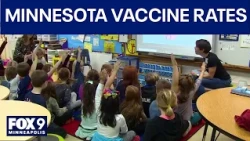 Minnesota kindergarten vaccine rate drops as measles cases climb