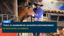 "Tuca", the guardian of Costa Rican roots in San Rafael de Heredia