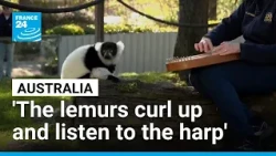 Canberra's zoo treats its residents to personnalised musical therapy • FRANCE 24 English