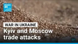 Russia-Ukraine war: Grain hub attacks raise fears over global food prices • FRANCE 24 English