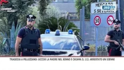 SRV PELLEZZANO