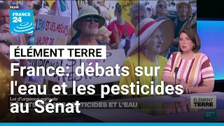 France: réintroduction de pesticides, partage de l'eau et loup en débat au Sénat • FRANCE 24