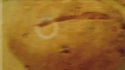 Agrárinfó MCC előadás Kovács Erik 1. rész
