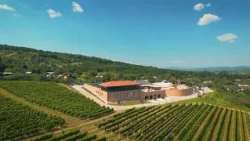 Exclusiv în România: Dealu Mare – ţinutul vinului şi al binelui (@TVR1)