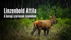 Linzenbold Attila: A beregi szarvasok nyomában, Vadászatok Bockerekben 1–2. rész