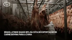 Brazil reaches nearly 80% of its beef export quota to China