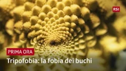 Trypophobia: The fear of holes or repetitive patterns | Prima Ora | RSI