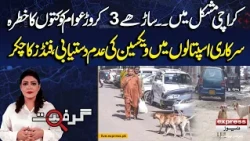 Karachi’s Rabies Crisis - People at Risk Due to Dog Bite Vaccine Shortage | Grift With Annie Shah