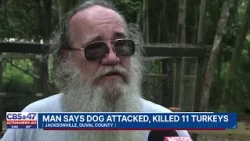 Man demands ACPS step up after he says neighbors’ dogs killed his turkeys