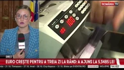 Curs BNR: Leul se prabuşeşte pentru a treia zi la rand