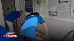 Da Miami migliaia di zanzare spedite a Roma per fermare la riproduzione