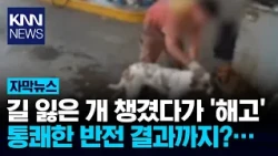 "Fired for washing a stray dog?" Outraged public takes action / KNN