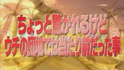 ちょっと驚かれるけどウチの団地では当たり前だった事【踊る!さんま御殿!!公式】