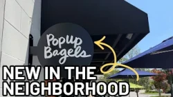 ‘Not famous, but known’: PopUp Bagels brings unique atmosphere, fresh bagels to Birmingham