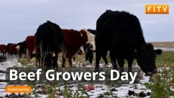 Beef Growers Day - The Challenges Facing Falklands Beef Farmers
