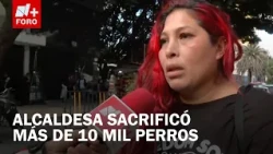 Protest against former mayor of Tecámac over dog culling