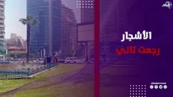 الأشجار رجعت تاني .. شاهد ماذا يحدث في شارع جامعة الدول العربية ؟