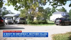 Neighbors stunned after mother killed in Lockport Township shooting