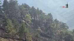Stanje na Stolovima pod Kontrolom