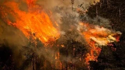 La ONU alerta de un fenómeno de El Niño "muy intenso" hasta febrero