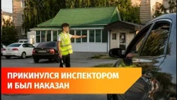 In Bashkiria, a Man Disguised Himself as a Traffic Cop and Stood on the Road