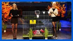 Lina und Lina-Marie präsentieren eine praktische Überwachungskamera für Ihr Zuhause @PEARL-TV