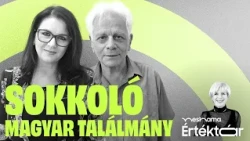 Erőfeszítés nélkül meg lehet tanulni egy idegen nyelvet?