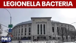 Yankee Stadium cooling tower tests positive for Legionella bacteria