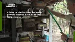Beekeeper irrigates forest to prevent fires and reduce high temperatures