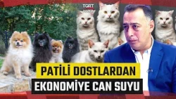 Major Contribution from Our Furry Friends to the Economy | The Pet Industry in Türkiye Grows Thro...