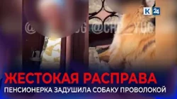 Pensioner faces up to three years in prison for strangling dog with wire