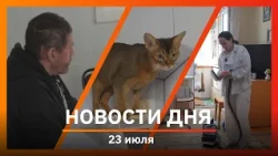 Ufa and Bashkiria News 07/26/23: surgery for a cat, cleaning small apartments, and employment for...