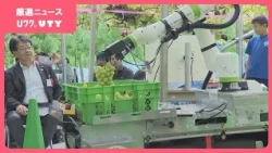 【農業ロボ】ブドウ栽培の省力化へ　多機能ロボット『かいてきまる』　AIで糖度を計測　大学やファナックなどが開発　山梨