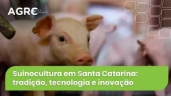 Agro Saúde e Cooperação - Suinocultura
