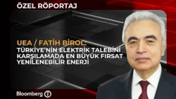 Renewable Energy: The Biggest Opportunity to Meet Türkiye’s Electricity Demand | IEA / Fatih Birol