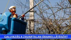 Gallyazás a zavartalan áramellátásért