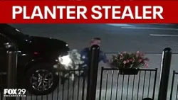 Planters stolen from Delco cafe supporting people with disabilities