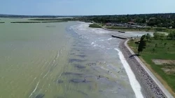 Heatwave dries up lakes and causes water shortages in Hungary