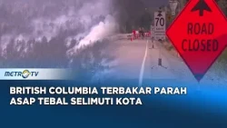 Kebakaran Hutan Dahsyat Kepung British Columbia Warga Dievakuasi