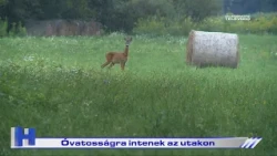Óvatosságra intenek az utakon – ZTV Híradó 2026-07-22